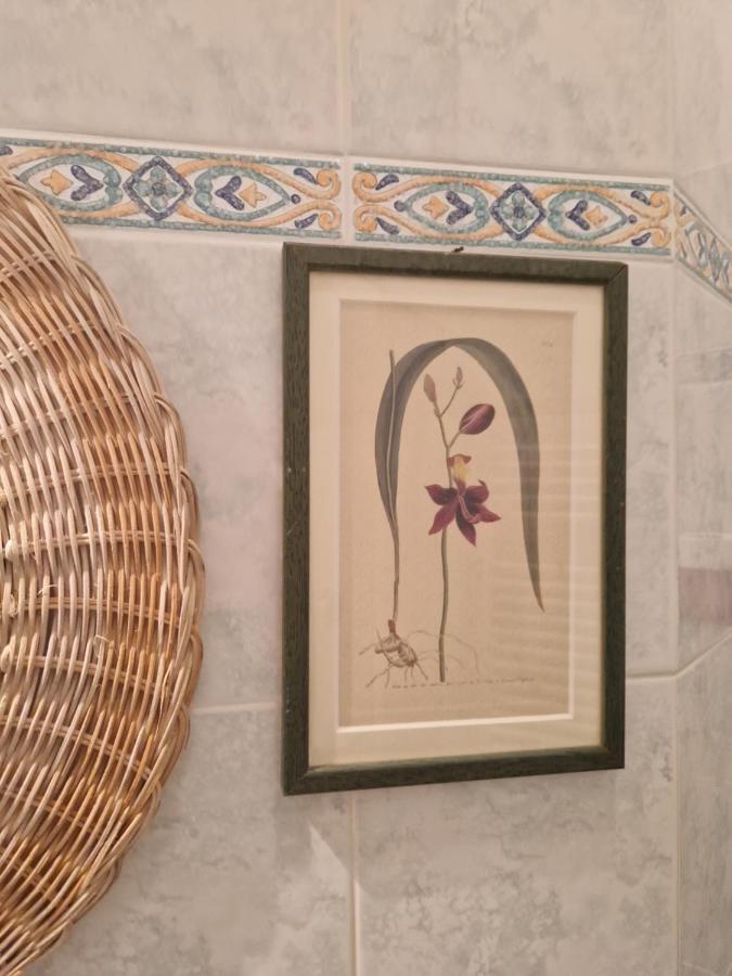 At Monica'S In Rome - Stazione Labaro Daire Dış mekan fotoğraf